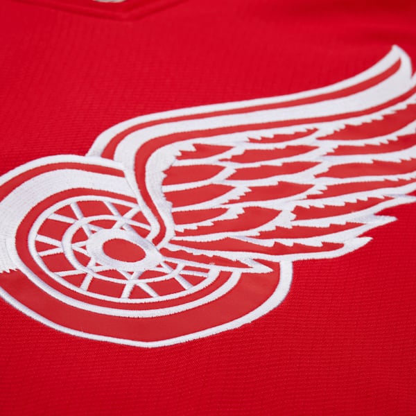 Men's Detroit Red Wings Dominik Hasek Mitchell & Ness Red 2007-08 Power Play Jersey - Image 4