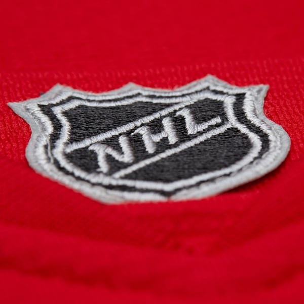 Men's Detroit Red Wings Dominik Hasek Mitchell & Ness Red 2007-08 Power Play Jersey - Image 6